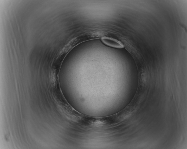 X0000103320312200809121154