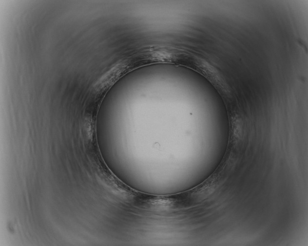 X0000103320313200809121154