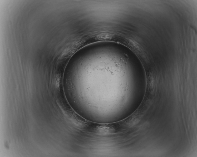 X0000103320315200809121154