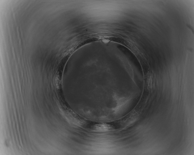 X0000103320316200809121154