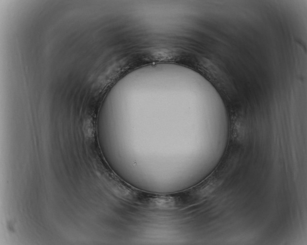 X0000103320317200809121154