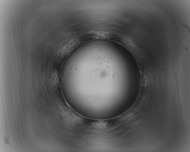 X0000103320318200809121154