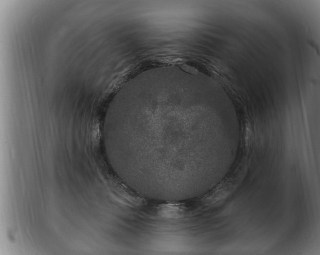 X0000103320320200809121154