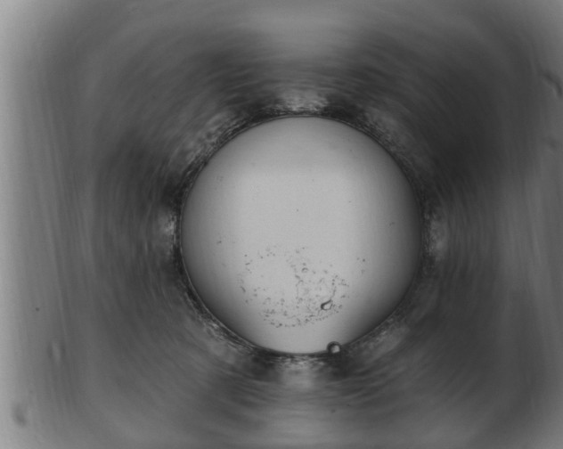 X0000103320321200809121154