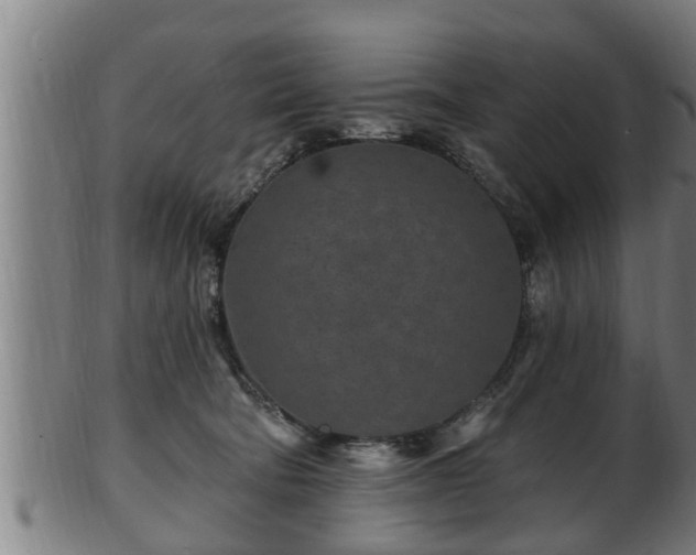 X0000103320322200809121154