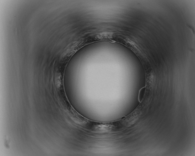 X0000103320323200809121154