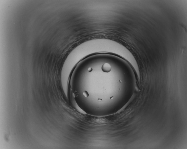 X0000103320324200809121154