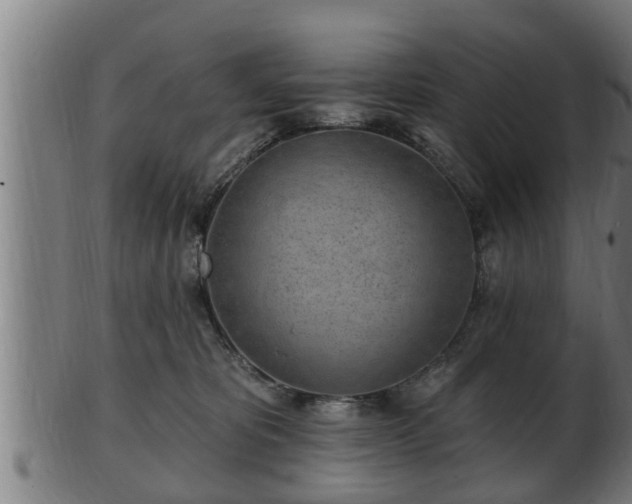 X0000103320325200809121154