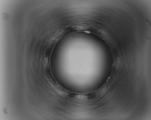 X0000103320327200809121154