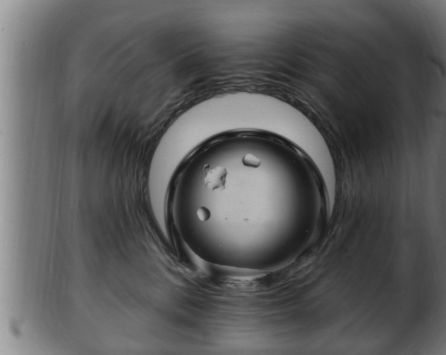 X0000103320328200809121154