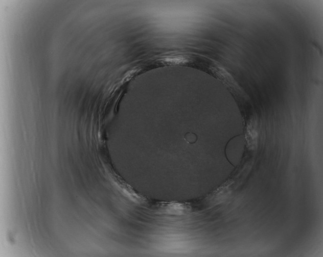 X0000103320330200809121154