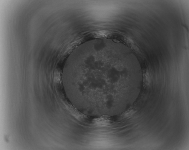 X0000103320331200809121154