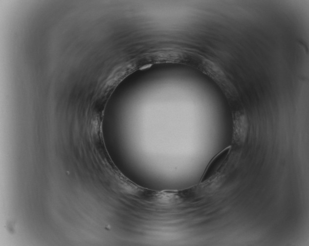 X0000103320333200809121154