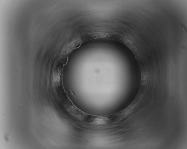 X0000103320334200809121154