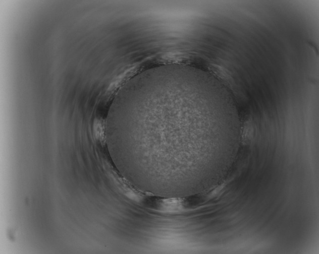 X0000103320335200809121154