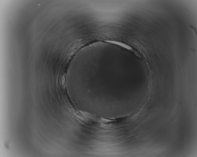 X0000103320336200809121154