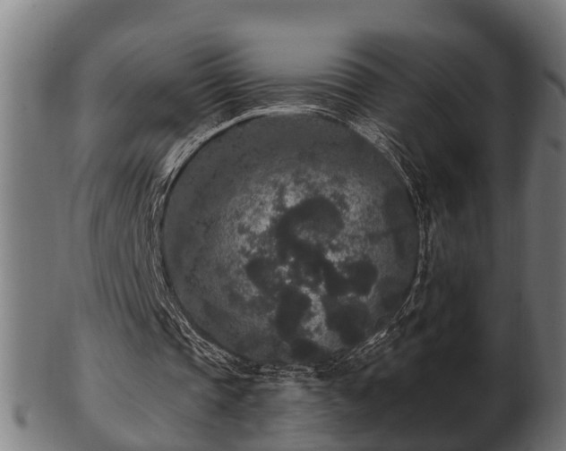 X0000103320337200809121153