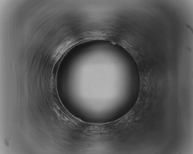 X0000103320338200809121153