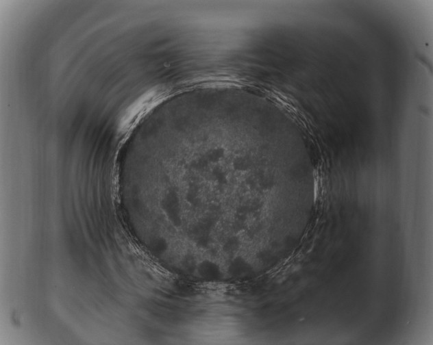 X0000103320339200809121153