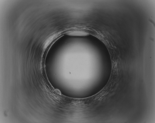 X0000103320340200809121153