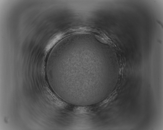 X0000103320341200809121153