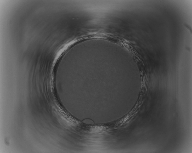 X0000103320342200809121153