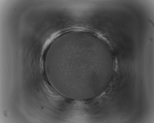 X0000103320343200809121153