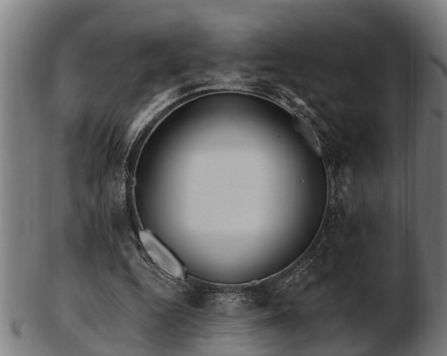 X0000103320344200809121153