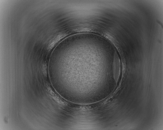 X0000103320345200809121153