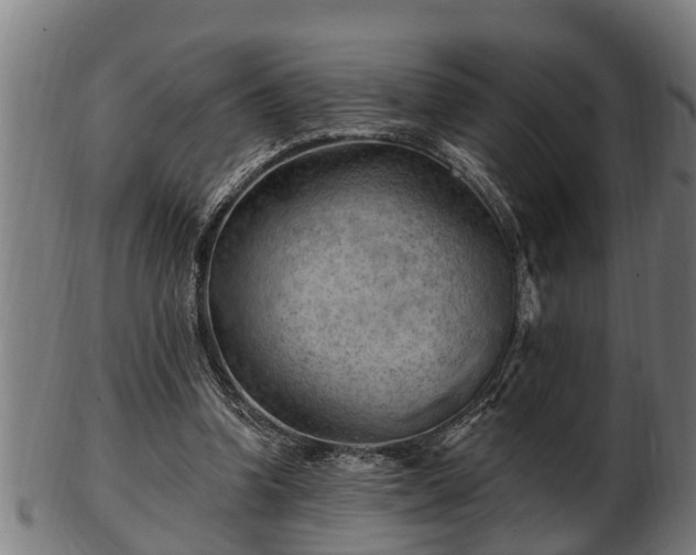 X0000103320346200809121153