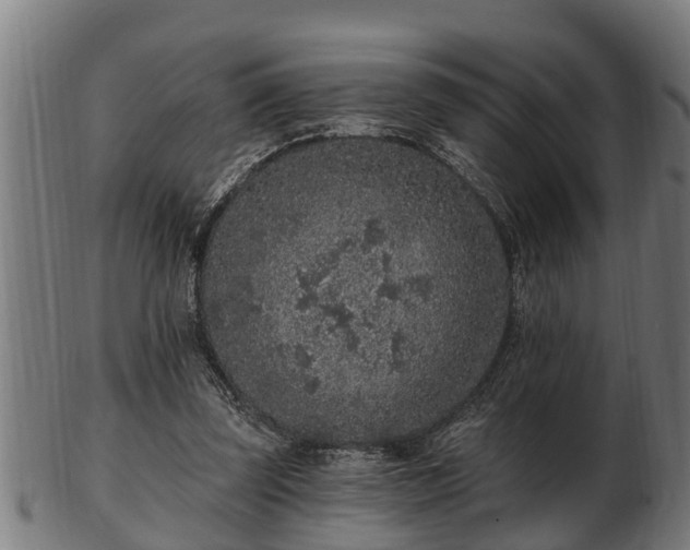 X0000103320347200809121153