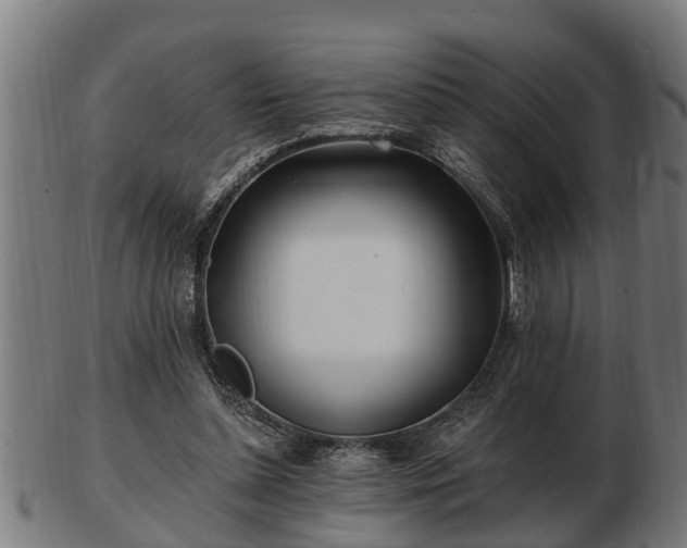 X0000103320348200809121153