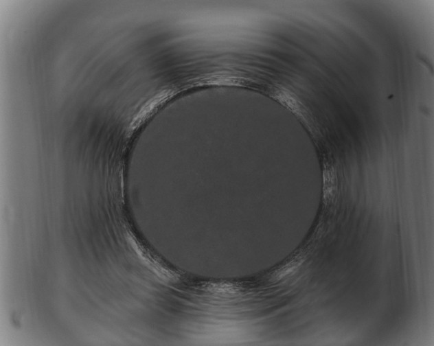 X0000103320349200809121153