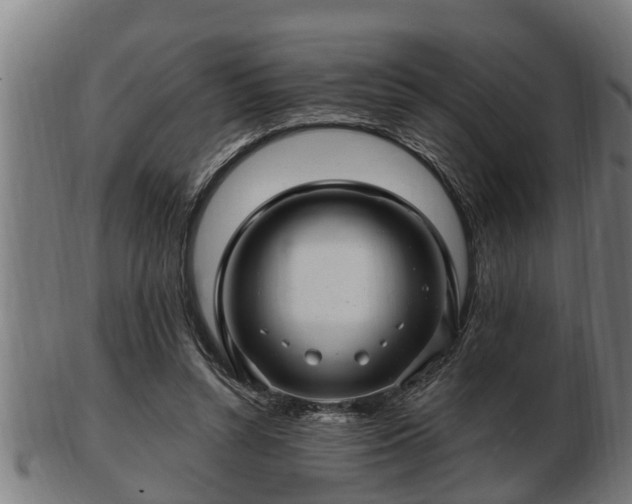 X0000103320352200809121153