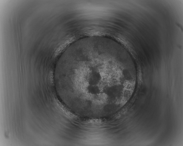 X0000103320353200809121153