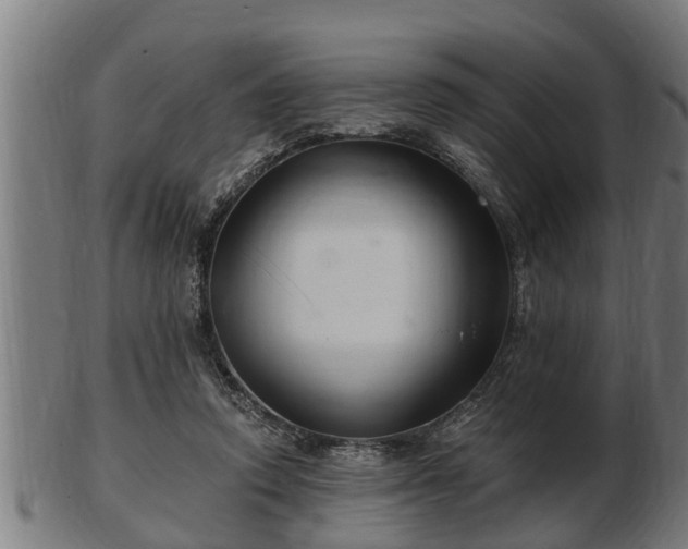 X0000103320354200809121153