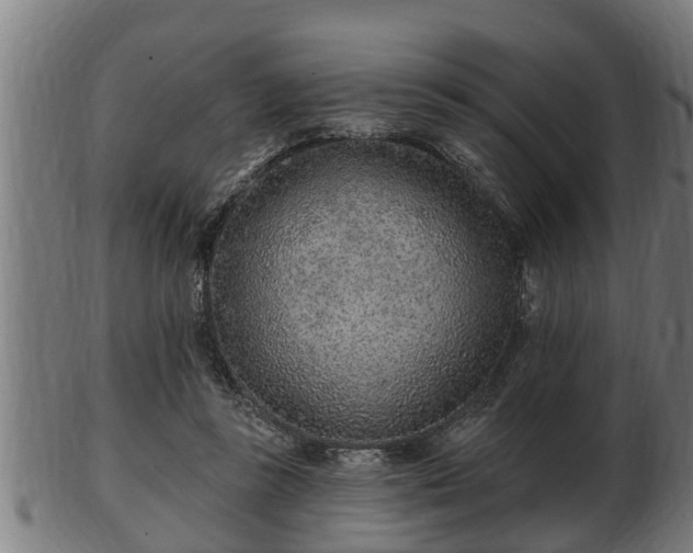 X0000103320355200809121153