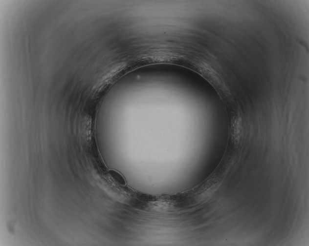 X0000103320356200809121153