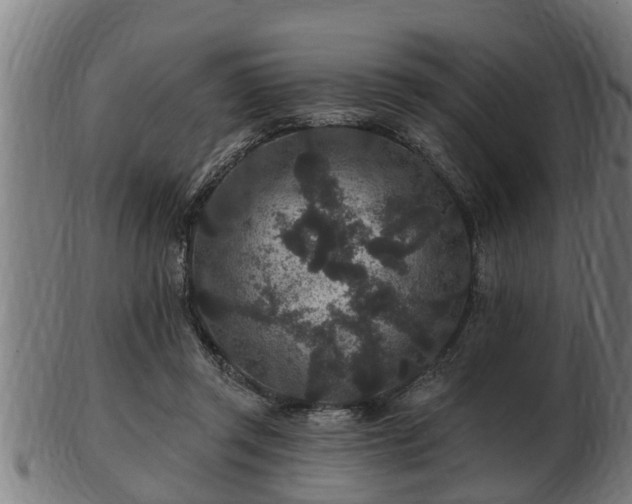 X0000103320357200809121153