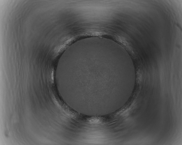 X0000103320358200809121153