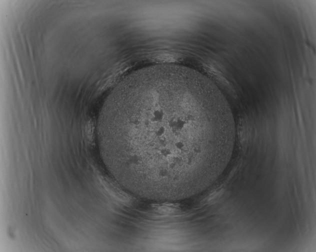 X0000103320359200809121153