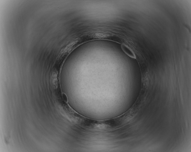 X0000103320360200809121153