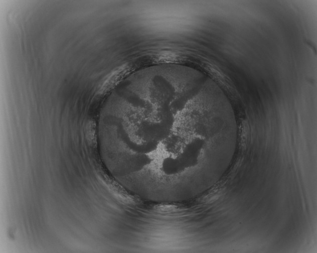 X0000103320361200809121153