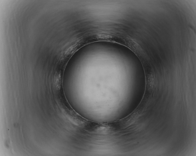 X0000103320364200809121153