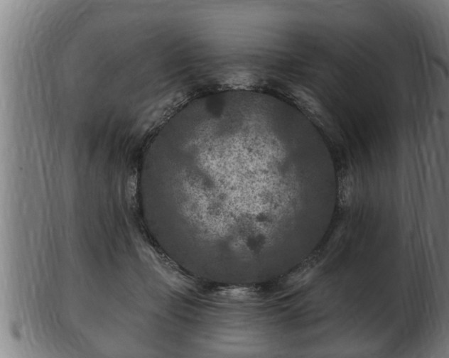 X0000103320365200809121153