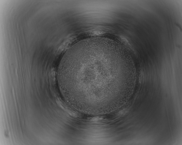 X0000103320366200809121153