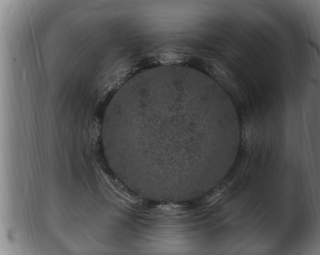 X0000103320367200809121153