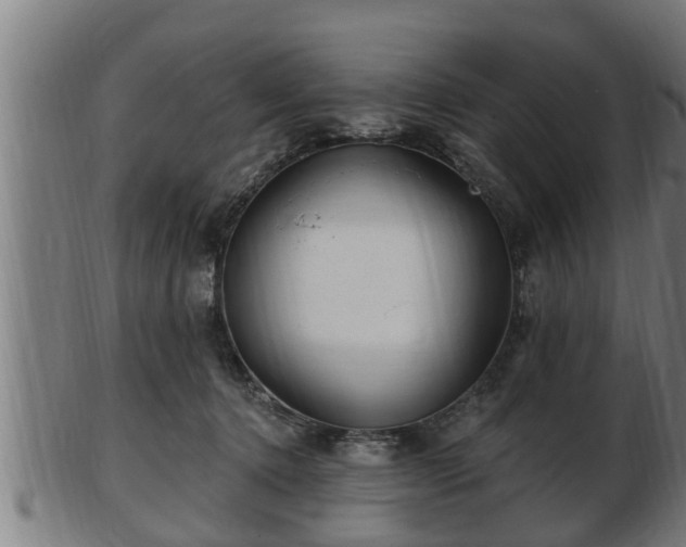 X0000103320368200809121153