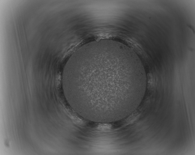 X0000103320369200809121153