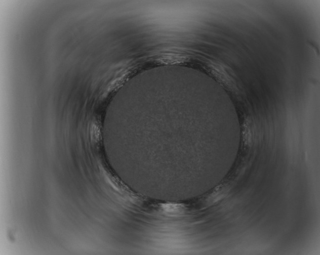 X0000103320371200809121153